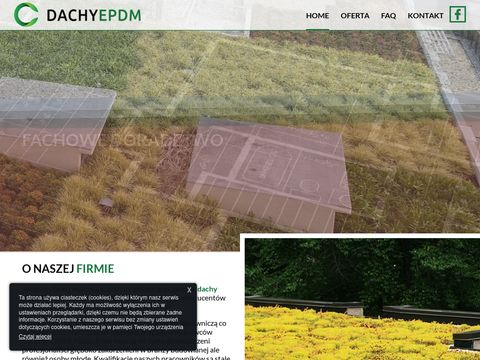 Dachyepdm.pl