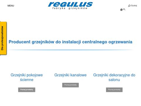 Regulus.com.pl - grzejniki kanałowe
