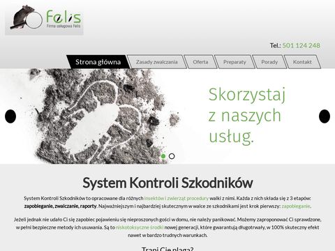 Felis usuwanie karaluchów Warszawa