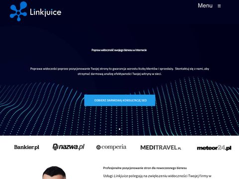 Linkjuice.pl pozycjonowanie