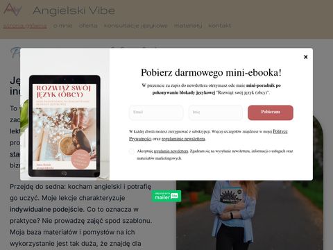 Angielskivibe.pl - angielski online