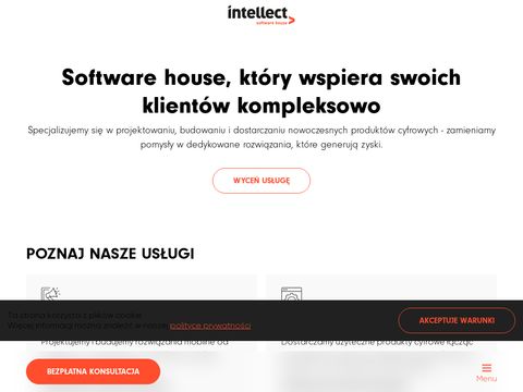 Intellect agencja interaktywna