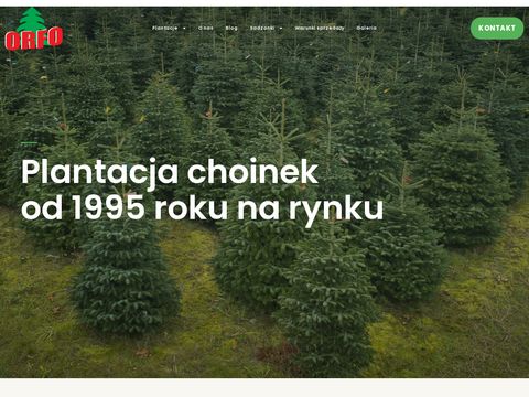 Orfo.pl - plantacja choinek