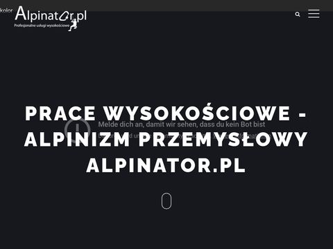 Alpinator.pl tanie mycie dachówki