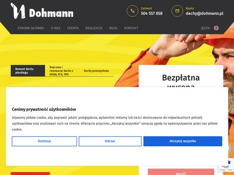 Dohmann renowacja dachów