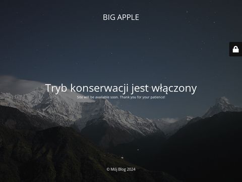 Big-apple.pl - lombard Wrocław