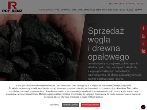 Ropbenz.pl - auto serwis Rewal