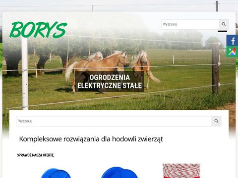 Borys elektryzator sieciowy Gniezno