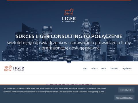 Liger Consulting sp. z o.o.