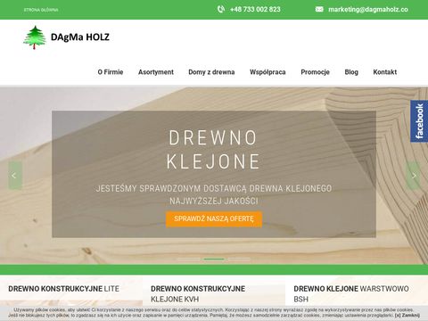 Dagmaholz.com.pl domy szkieletowe