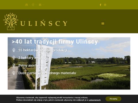 Ulinscy.pl szkółkarstwo ozdobne