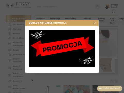 Pegazshop.pl sklep dla konia