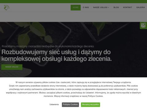 Araneo.com.pl - odkomarzanie