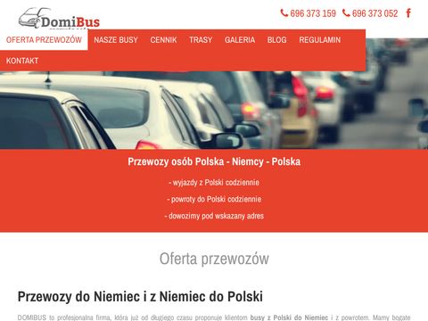 Domibus.pl - przewóz osób