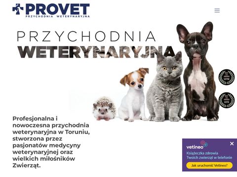 Provet.torun.pl
