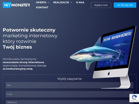 Netmonster strony internetowe