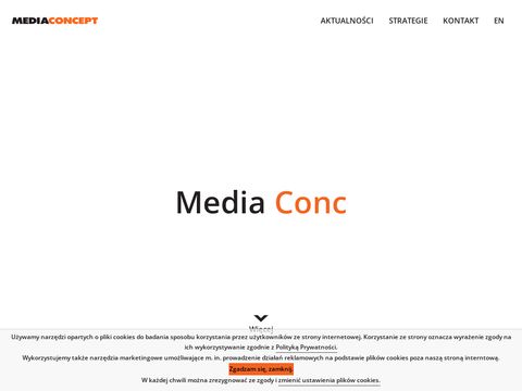 Mediaconcept.com.pl planowanie