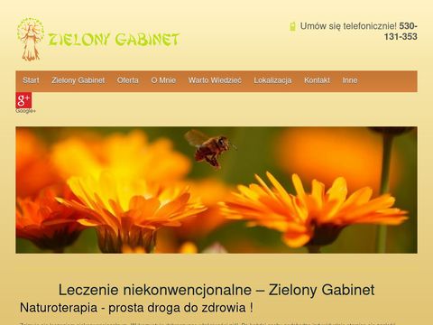 Zielony Gabinet