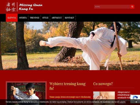 Mizong.pl kung fu