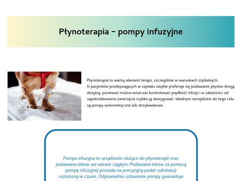 Medi-Vet strzyżenie psów