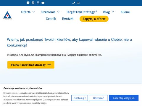 Ppcefekt.pl kampanie adwords