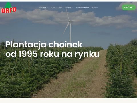 Orfo.pl - plantacja choinek