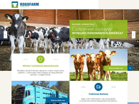 Rogofarm skup i sprzedaż zwierząt