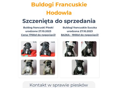 Buldogi-francuskie.pl