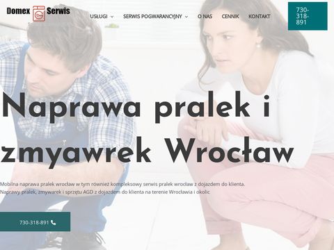 Domex-Serwis - naprawa serwis pralek zmywarek