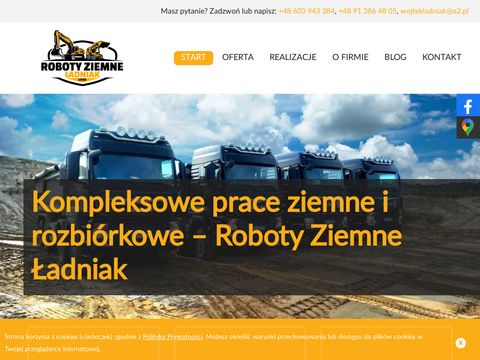 Robotyziemneladniak.pl