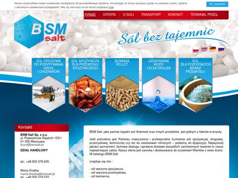 BSM Salt sp.z.o.o.