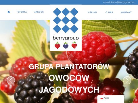 Berrygroup borówka amerykańska