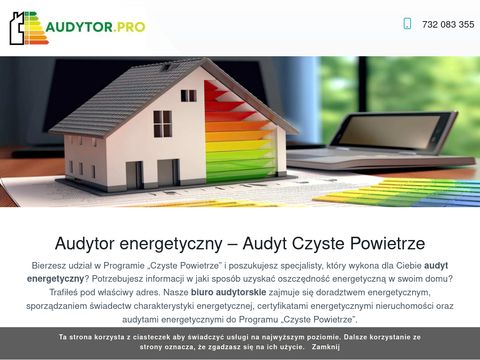 Audytor.pro - usługi audytorskie