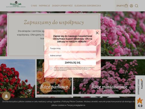 Rosacwik-sklep.pl róże