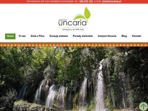 Uncaria.pl - manayupa