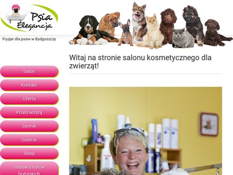 Psia Elegancja - fryzjer Bydgoszcz