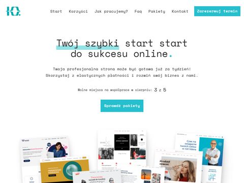 Kodografia.pl - wdrożenie wordpress