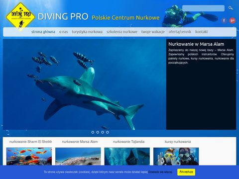 Diving Pro - nurkowanie Sharm