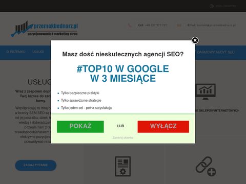 Przemekbednarz.pl - seo