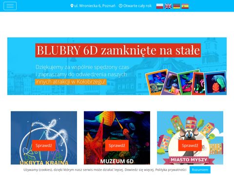 Blubry6d.pl - urodziny Poznań