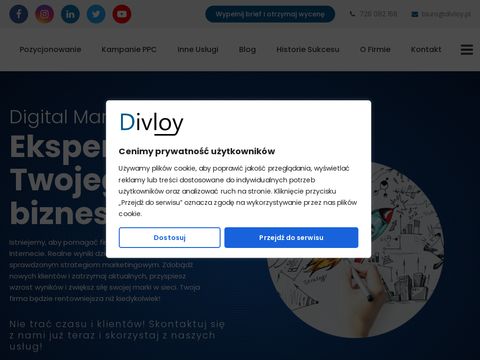 Divloy google ads, fb ads, seo