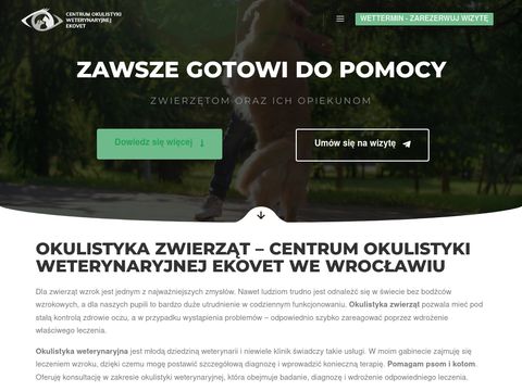Cowe.pl - okulista dla psów