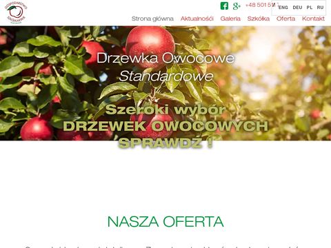 Drzewkaowocowe.com