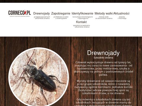 Corneco.pl - szkodniki drewna