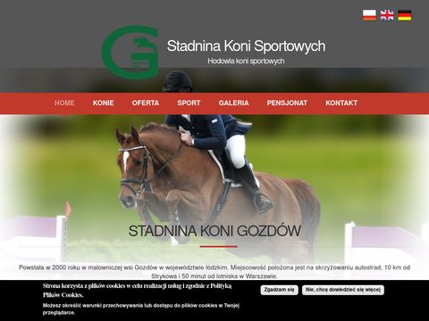 Skgozdow.pl - konie sportowe