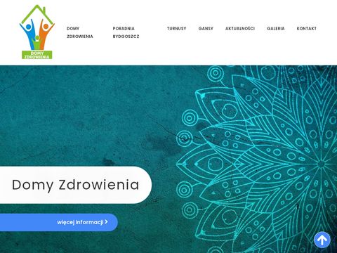 Domyzdrowienia.org.pl