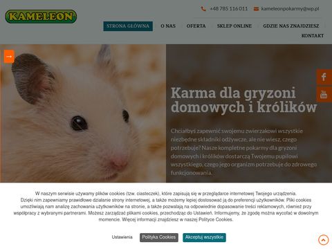 KAMELEON Pokarmy dla królików