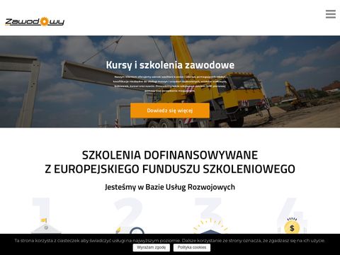 Zawodowy.eu - kursy na wózki widłowe