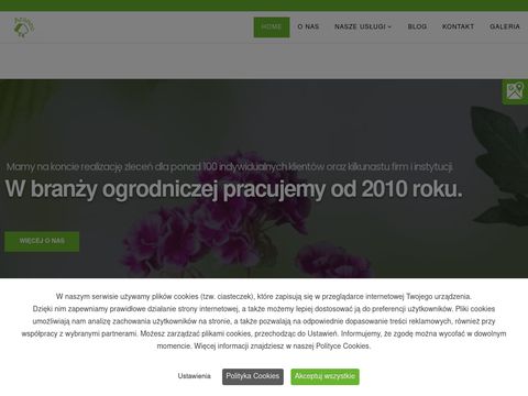 Araneo.com.pl - odkomarzanie