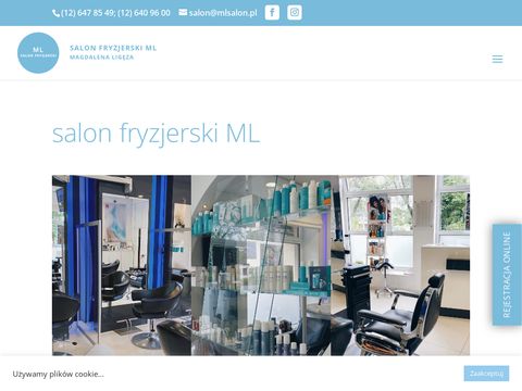 ML Salon